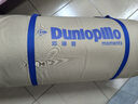 邓禄普（Dunlopillo）斯里兰卡进口天然乳胶床垫1.5m床/2.5cm厚 85D ECO经典乳胶薄垫 实拍图