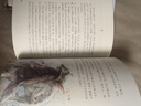 沈石溪画本·狼王梦 “动物小说大王”经典作品（全彩美绘版 套装共2册） 实拍图
