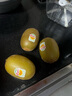 佳沛（zespri）新西兰  阳光金奇异果16粒礼盒经典果单果约 77-103g 水果 猕猴桃 实拍图