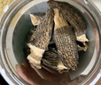 富昌 羊肚菌55g 云南特产头茬短柄  山珍菌菇干货 鸡汤煲汤火锅食材 实拍图