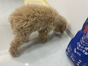 LEGENDSANDY蓝氏狗粮真鲜乳鸽中小型犬泰迪比熊生骨肉冻干鲜肉犬粮1.5kg3斤 实拍图