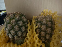 三萌果蔬正宗金钻凤梨 海南当季新鲜爆甜手撕金菠萝香水果整盒节日送礼 5斤精品果净重4.5斤【2枚装】 实拍图