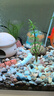 森森（SUNSUN）鱼缸增氧泵水族箱氧气泵家用小型充氧泵 【二代更静】4W单孔+全套配件 实拍图