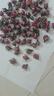 贡苑金边玫瑰花260克 云南玫瑰花茶花干玫瑰花蕾泡水喝的花草养生茶包 实拍图