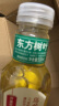 农夫山泉 东方树叶乌龙茶500ml*15瓶无糖饮料茶饮料整箱装礼盒【直播间】 实拍图
