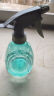 喷壶浇花浇水喷雾器气压式喷水壶家用园艺养花500ml 南瓜喷壶透粉【1个装】 实拍图