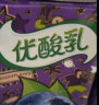 伊利优酸乳蓝莓味250ml*24盒/箱乳饮料 牛奶饮品 礼盒装 实拍图