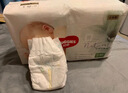 好奇（Huggies）心钻装小森林纸尿裤S62片(4-8kg)新生儿小号尿不湿夏季超薄 实拍图