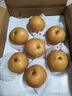 青青大地秋月梨山东莱阳正宗秋月冰糖梨产地直发 净重4斤新鲜水果 秋月梨净重4斤【爆汁爽口】 实拍图