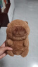 卡皮巴拉毛绒玩具公仔儿童生日礼物女孩情人节礼物水豚毛绒玩偶 卡皮巴拉公仔 1个装（新人专享） 实拍图