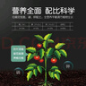 史丹利复合肥蔬菜用农用种菜果树专用肥料养花化肥有机2.5斤 实拍图