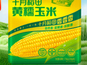 十月稻田 黄糯玉米 3.52斤(220g*8根) 东北甜黏玉米棒 早餐苞米 真空包装 实拍图