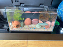 松下（Panasonic）碳性5号7号组合装五号七号干电池共40节盒装适用于遥控器玩具万用表门铃 盒装 实拍图