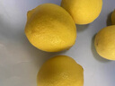 立始四川安岳黄柠檬新鲜柠檬酸爽多汁奶茶店专用新鲜水果特产 5斤大份装（50g起,家庭首选） 实拍图