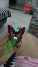【全网爆款】七彩发光蝴蝶小夜灯可粘贴3D立体夜光蝴蝶冰箱贴 夜灯-粘贴发光蝴蝶-1个 实拍图