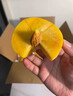 春福乐 山东蒙阴黄桃【多地次日达】新鲜水果金桃子脆蜜毛油送礼品物盒 【7A金奖级】单果90g+ 净4.5-5斤装【老树果-80%选择】 实拍图