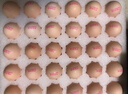 COODORA元气驱蚊手环植物精油成人儿童家用防蚊神器随身户外室内孕婴可用 实拍图