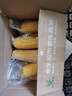 京鲜生东北水果玉米3.6斤 8根单根220g东北甜玉米棒开袋即食 源头直发 实拍图