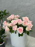 芊芊细语斗南基地直批发玫瑰鲜花全国速递配送女友礼物家用水养插花家庭 粉荔枝玫瑰18支+2支防损 实拍图