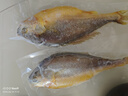 海名威宁德三去大黄鱼 对半厚切黄花鱼 净重700g/2片 海鲜水产鱼类  实拍图