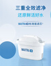 碧然德（BRITA） 家用滤水壶 净水壶滤芯 Maxtra 多效滤芯 6枚装 实拍图