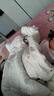 开丽（Kaili）婴儿肚脐护理套装（护脐带12片+护脐贴10片）新生儿护脐带 实拍图