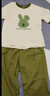 艾诺轮女童夏装套装中大童夏季女装儿童装女孩短袖t恤长裤两件套衣服 R兔套装-绿 160 建议身高150-160CM左右 实拍图