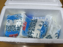 百富露水牛奶低温奶鲜牛奶牛乳双皮奶姜撞奶冷藏冷冻直饮新日期袋 原味水牛奶195ml/袋 10袋【新鲜日期】 实拍图