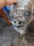 美厨（maxcook）三层蒸锅28CM 不锈钢蒸锅加厚复底蒸煮两用 燃气电磁炉通用MZB-28 实拍图