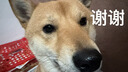 孕味食足 每日坚果750g/30袋孕妇零食大礼包营养混合坚果炒货干果送礼盒 实拍图