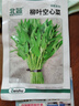 北蔬 空心菜种子苗柳叶青梗小竹叶蔬菜种籽 柳叶空心菜种子25g约500粒 实拍图