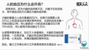 北岳卡式炉户外便携式野餐炉具家用火锅燃气防风卡磁卡斯瓦斯炉煤气灶 卡式炉+4瓶气+全收纳手提包 实拍图