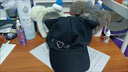 QUEEN TRIP猫耳朵鸭舌帽星星爱心y皮扣亚文化系宅系可爱二次元贝雷帽 白星星扣猫耳帽 实拍图