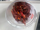  川珍 魔鬼椒200g(100g*2瓶)干辣椒印度椒家用调味料特辣炒菜调料 实拍图