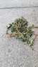 阿芙（AFU）积雪草滋润倍护男女士面膜25mlx10片 保湿补水 送女友礼物 实拍图