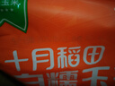十月稻田 白糯玉米 4.16斤(260g*8根) 东北甜黏玉米棒 早餐苞米 实拍图