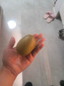 佳沛（zespri）新西兰 阳光金奇异果12粒礼盒特大果单果约122-146g 猕猴桃 水果 实拍图