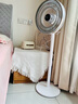 夏普空气循环扇电风扇落地扇自动摇头直流变频轻音无躁台立两用智能语音遥控定时换气扇对流涡轮扇 PJ-FD405A-M 【净化+可调高度+三色灯】 实拍图