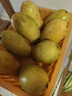 三萌果蔬金煌芒芒果 当季现摘青皮水仙大芒果新鲜海南水果整箱节日送礼 5斤精选装净重4.5斤 单果200g+ 实拍图