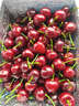 京觅大连美早樱桃车厘子 3J级净重2.8斤 单果12-15g水果礼盒源头直发 实拍图
