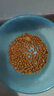 伟嘉猫粮成猫夹心粮 全价粮吞拿鱼1.3kg布偶蓝猫橘猫加菲英短猫咪 实拍图