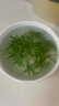 半山农淡竹叶茶100g 淡竹叶煮水 新鲜石竹叶可做汤膏夏天喝养生泡水清香 实拍图