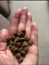 麦富迪狗粮 乖宝乐10kg 成犬中大型小型犬通用（牛肉蛋黄）金毛泰迪柯基 实拍图