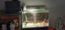 亚峰超白鱼缸玻璃缸生态客厅小型家用斗鱼金鱼缸桌面新款水族箱长方形 【免费上楼】60*30*35缸+过滤+灯+8大礼 实拍图