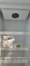 雪花大容量饮料柜商用冰柜直冷藏展示柜酒水柜纯风冷无霜保鲜柜超市玻璃门冰箱立式啤酒柜  大单门丨下机标准款【铜管丨风直冷减霜】 实拍图