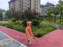 kocotreekk树儿童雨衣宝宝男童女小学生小童雨披幼儿园雨具分体斗篷式 实拍图