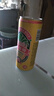 广氏菠萝味啤酒含酒精菠萝啤低度果味啤酒 330*24罐 实拍图