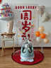 狮洛德 一周岁生日布置背景挂布男女孩龙宝抓周宴氛围拍照道具场景装饰 实拍图