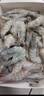 渔游记（YUYOUJI）鲜冻国产青岛大虾90-108只净虾3.6斤大虾对虾青虾海虾生鲜 虾类 实拍图