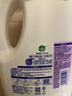 滴露（Dettol）衣物消毒液 薰衣草3L 99.9%杀菌除螨内衣儿童衣物除菌液配洗衣液 实拍图